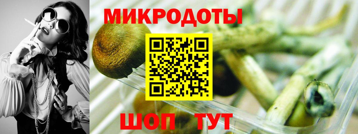 Псилоцибиновые грибы GOLDEN TEACHER  Вход с VPN  Богданович  Псилоцибиновые грибы Psilocybe 